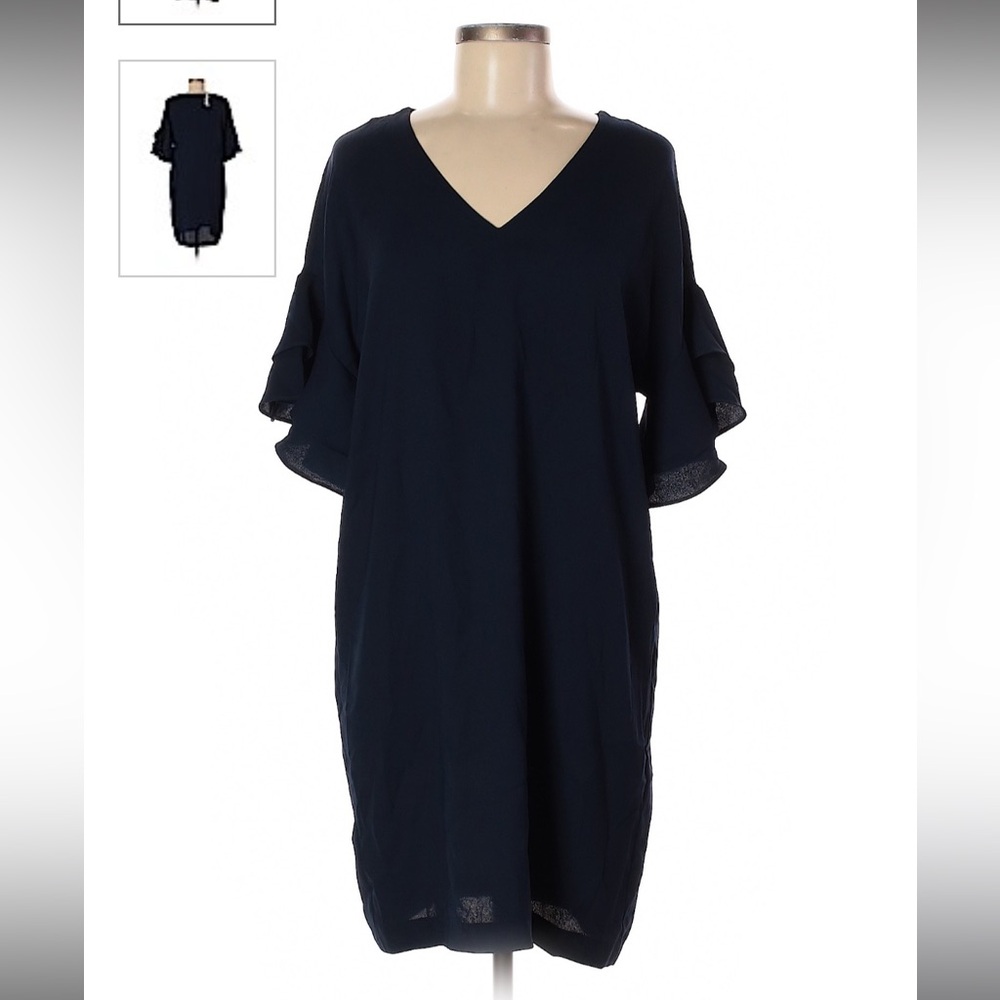Banana Republic Ruffle Sleeve Dress 8